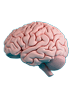 sober.golubeva.net Logo